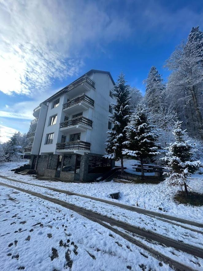 Vila Predeal Holidays Exterior foto