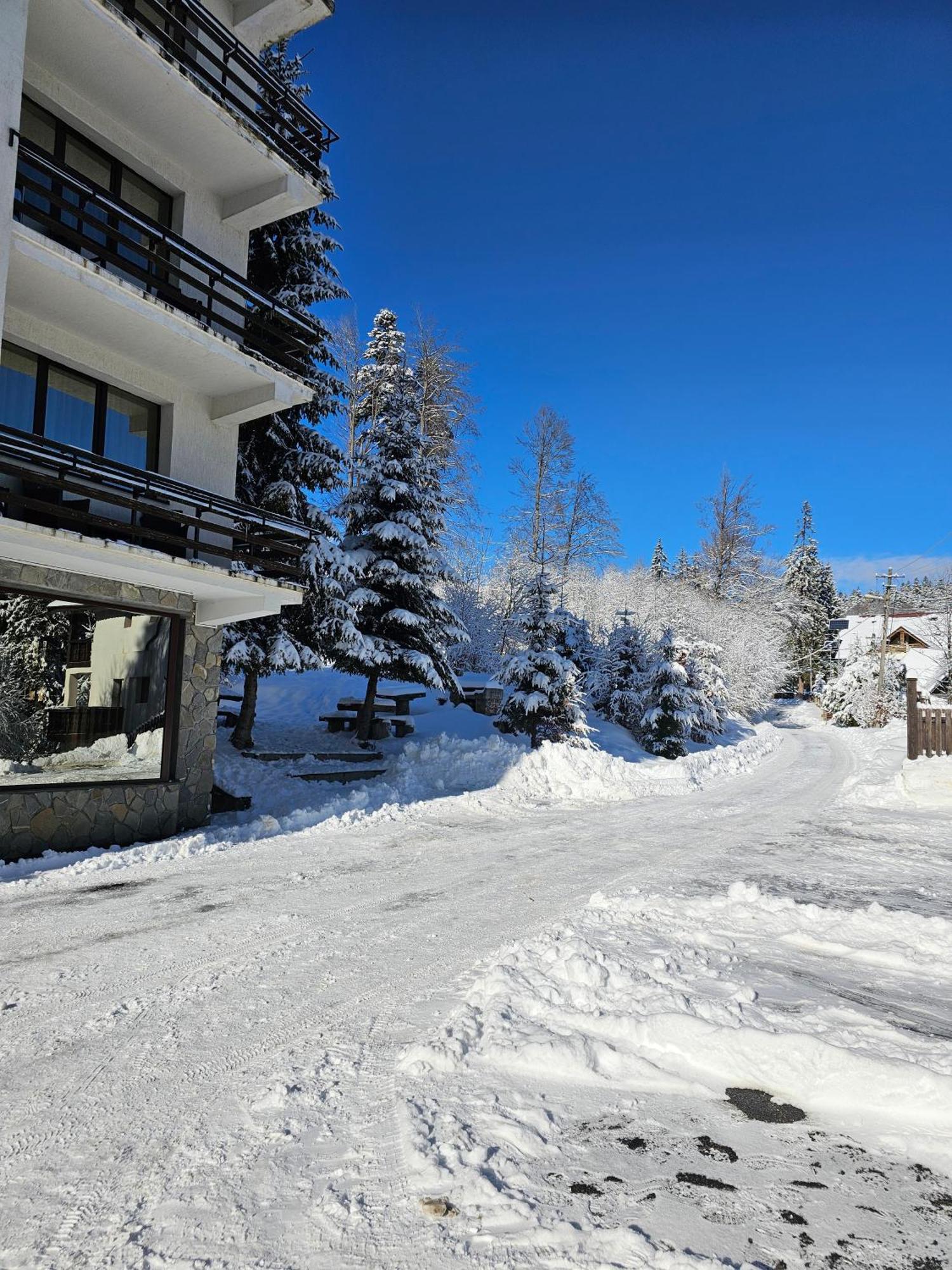 Vila Predeal Holidays Exterior foto